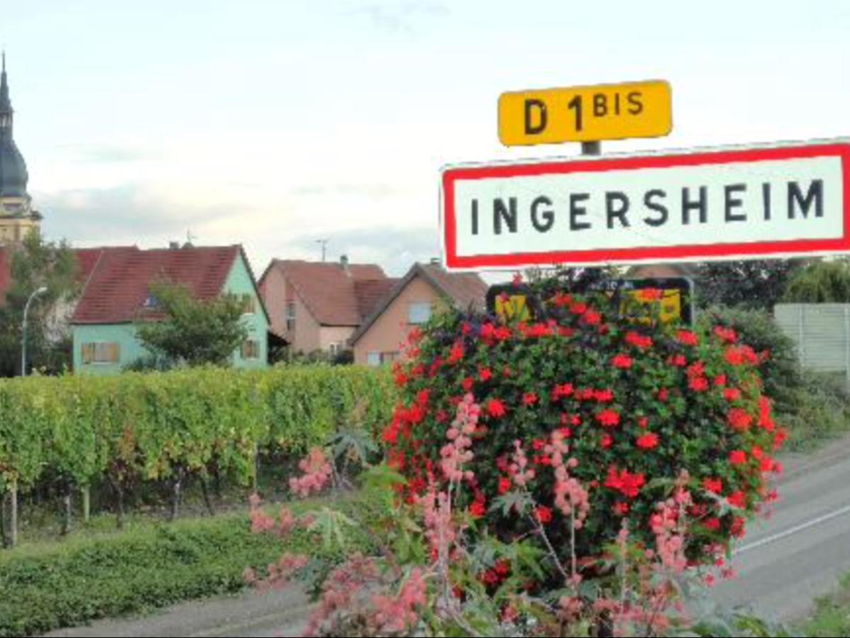 Gite Du Moulin Ingersheim Kültér fotó